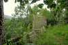 DSC_0157.jpg