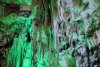 _DSC3980.jpg