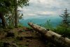 _DSC6359.jpg