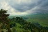 _DSC6378.jpg