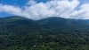 DJI_0015_1.jpg