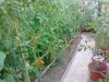 08072010566.jpg