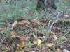DSC00048.JPG