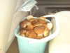 DSC00050.JPG