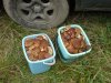 DSC00053.JPG