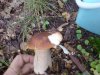 DSC00052.JPG