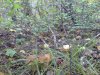 DSC00051.JPG