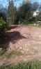 IMAG0067.jpg