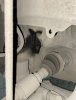 IMG_1798.jpeg
