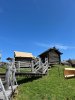 IMG_2519.jpg