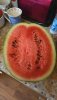 IMG-20240809-WA0003.jpeg