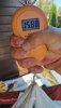 IMG-20240829-WA0000.jpg