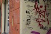 IMG_9233.jpeg