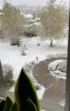 IMG_2803.JPEG