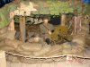 051122 Volo automuseam combat zone 4.JPG