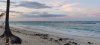 IMG_20231106_180131.jpg