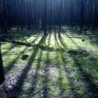 несерый